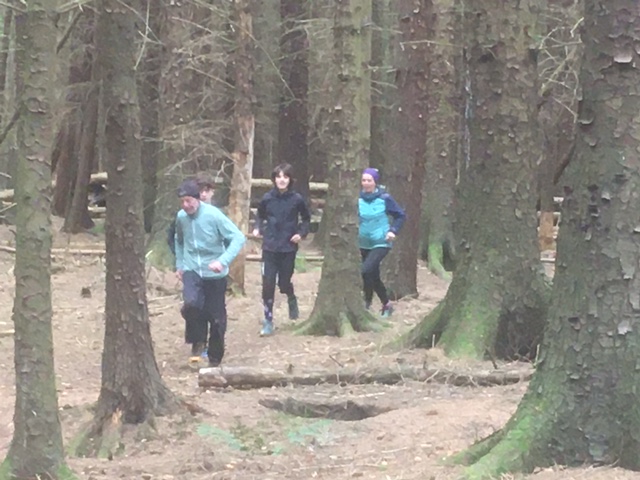 Training_in_woods_Katherine_Ivory