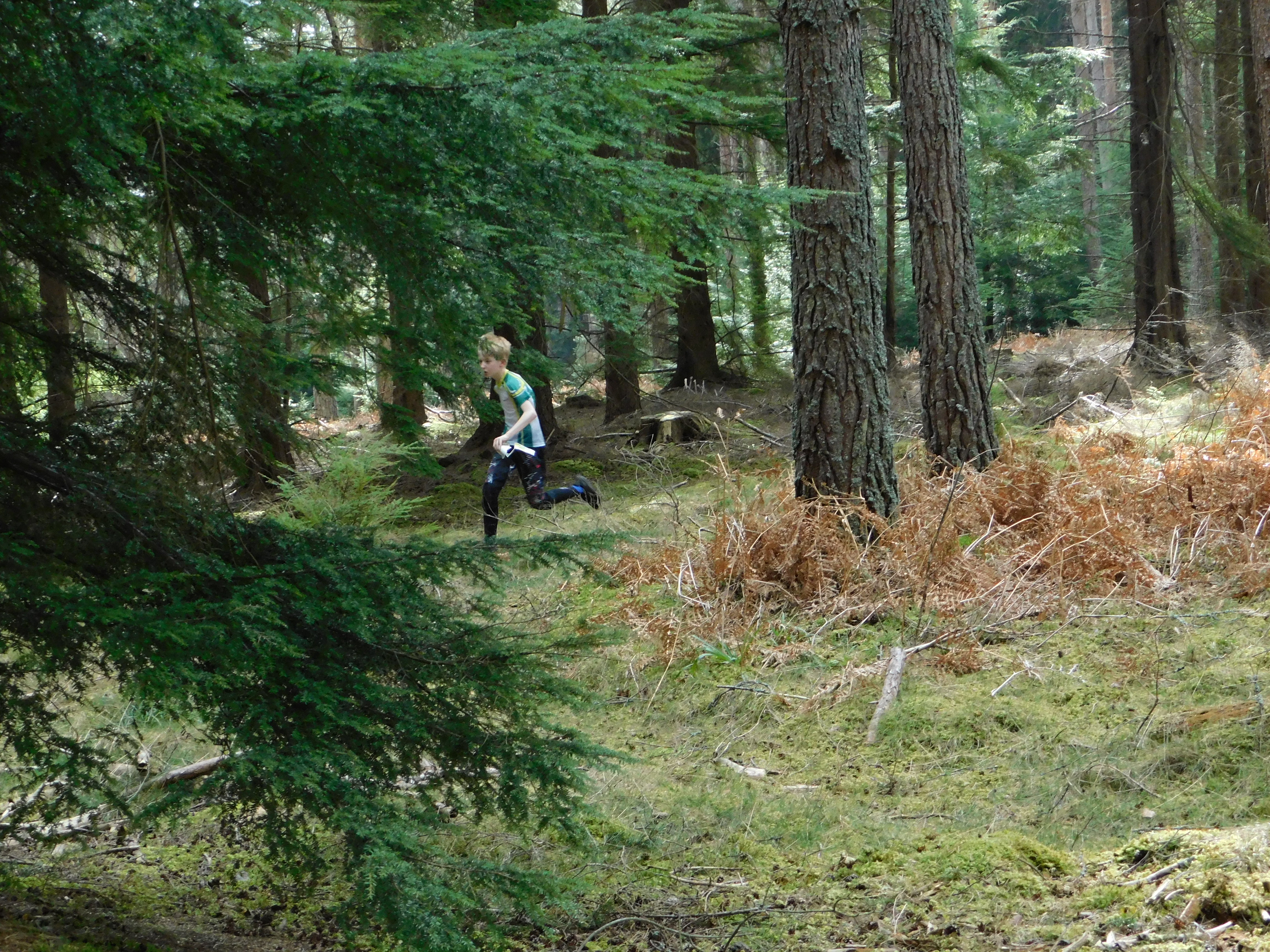 In_the_woods_by_Holly_Stodgell