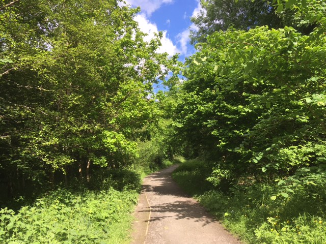 Path