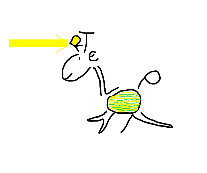 winterlope_2024.png