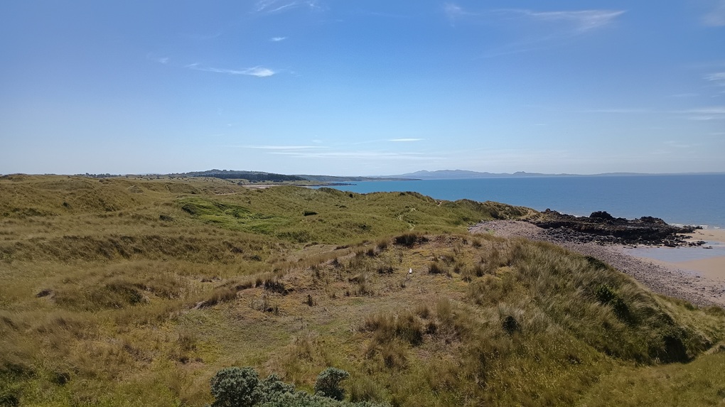Dunes_2_small.jpg